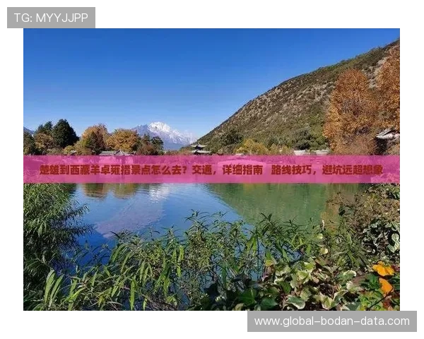 球类应用彩票数字高频玩法防骗避坑指南